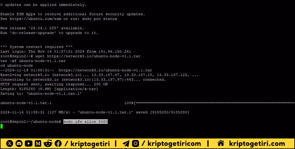 Network3 Depin Kurulumu 04