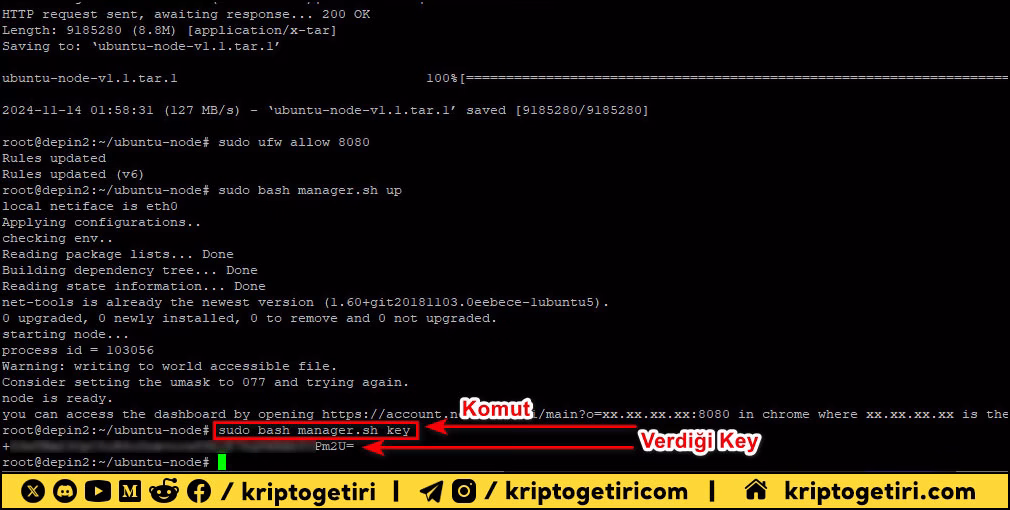 Network3 Depin Kurulumu 07