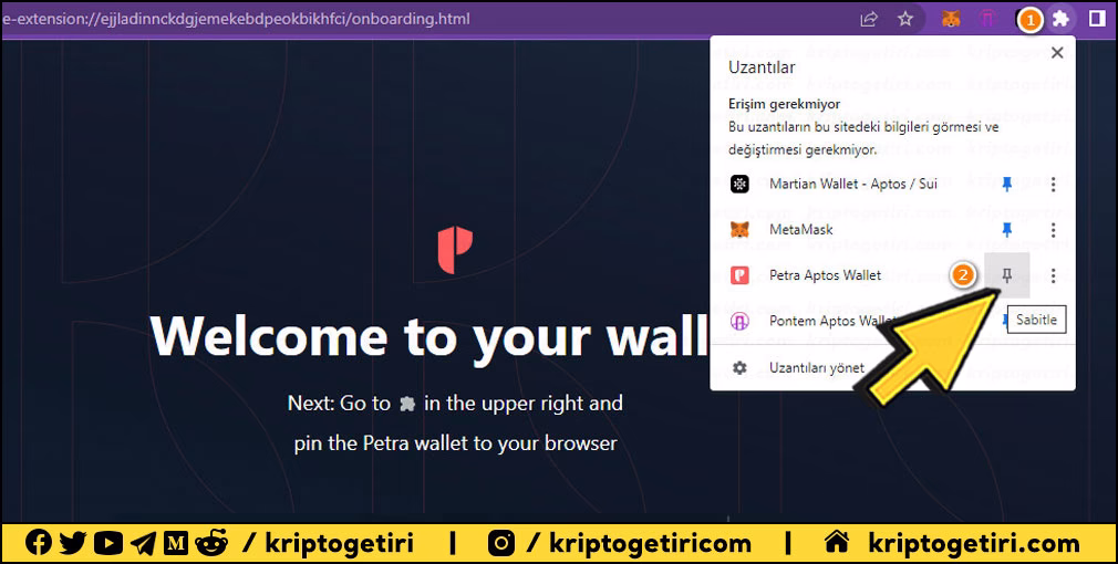 Petra Aptos Wallet uzantısı