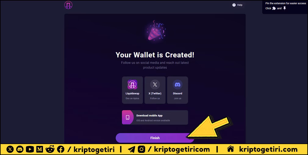 Pontem Wallet Kurulumu 08